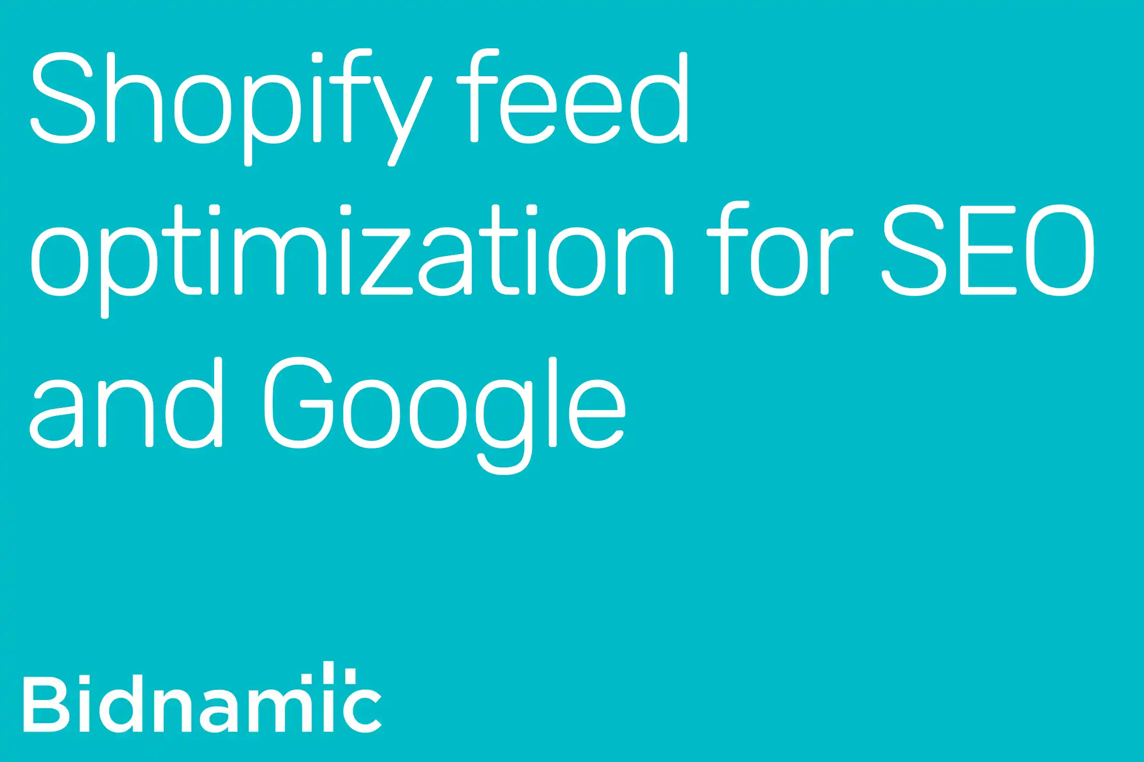 shopify-feed-optimization-for-seo-and-google-bidnamic-us